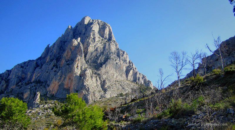 Puig Campana